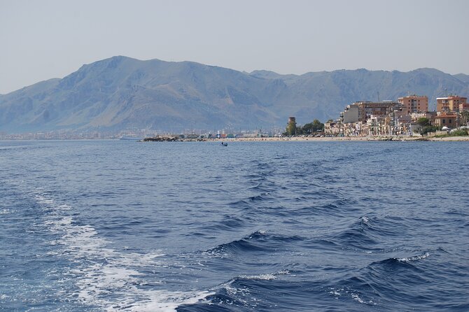 Marine Reserve of Isola Delle Femmine Capo Gallo - Additional Activities and Services