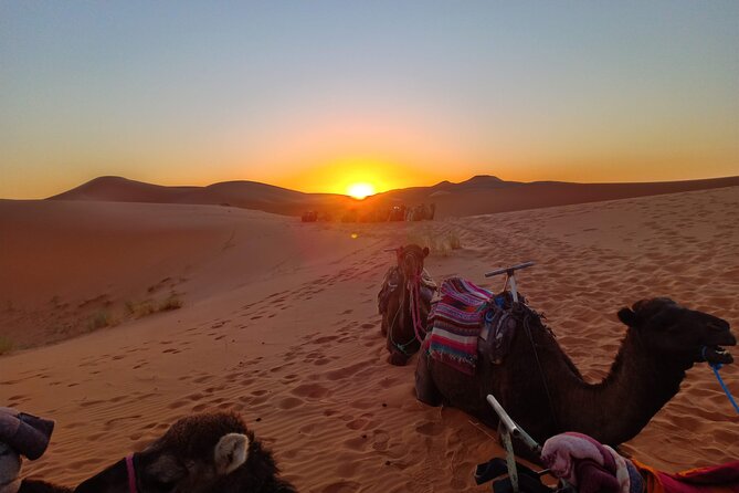 Marrakesh to Fez 3-Day With Overnight Merzouga Desert Camping - Merzouga Dunes