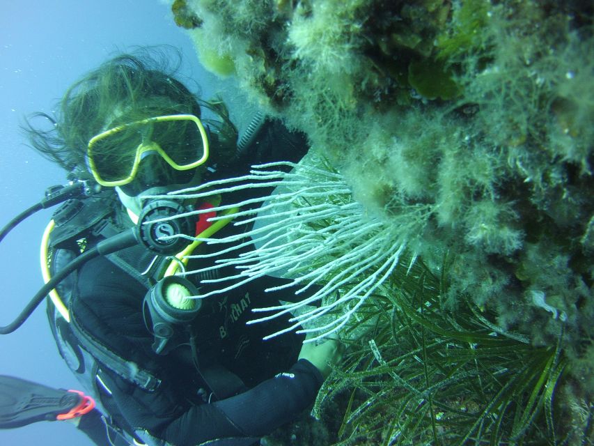 Menorca: Baptism Scuba Diving in Marine Reserve - Dive Duration and Air Consumption