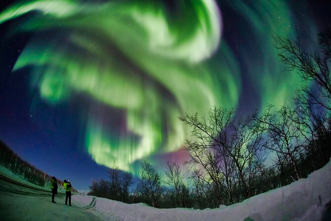 Minivan Northern Lights Excursion (8 Guests per Minivan) - Photography Techniques