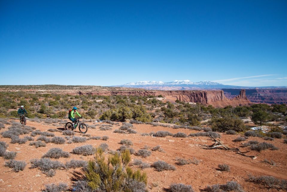 Moab: Dead Horse Point Singletrack Mountain Biking Tour - Twisted Tree and Prickly Pear