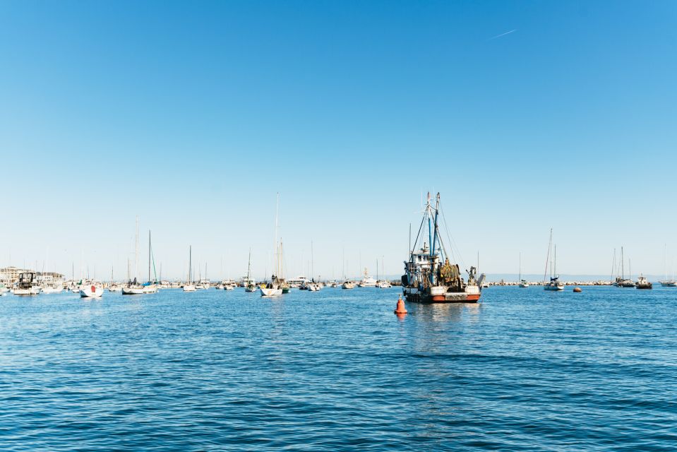 Monterey Bay: Whale Watching Tour - Getting There and Departing