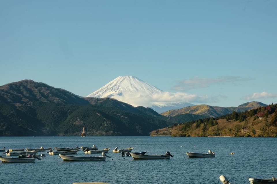 Mount Fuji, Hakone and Lake Ashi Cruise Day Trip - Booking and Pricing Information