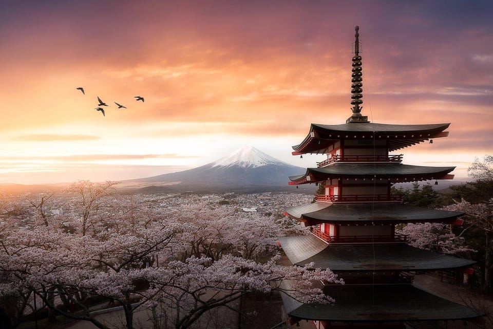 Mt Fuji Sightseeing Private Tour From Tokyo (English Driver) - Accessibility and Requirements