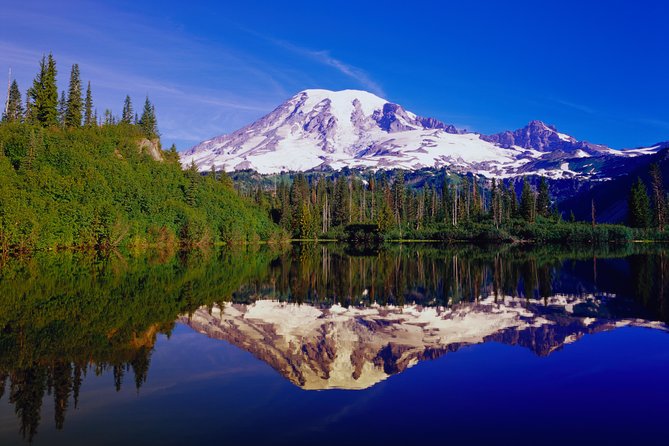 Mt. Rainier Day Tour From Seattle - Optional Gratuities and Purchases