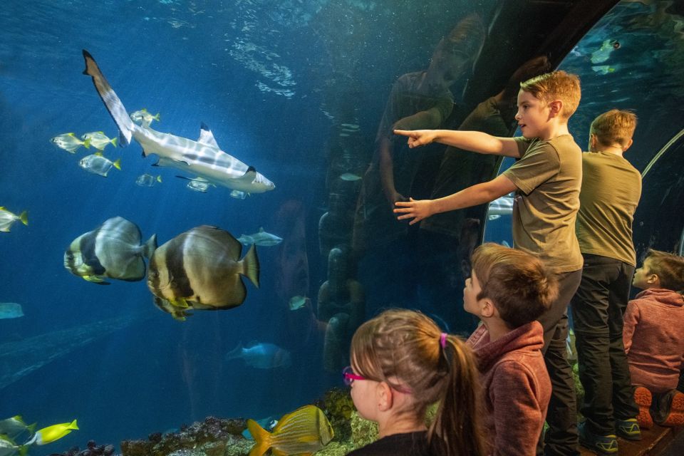 Munich: Day Ticket to Sea Life - Daily Feedings and Favorite Exhibits