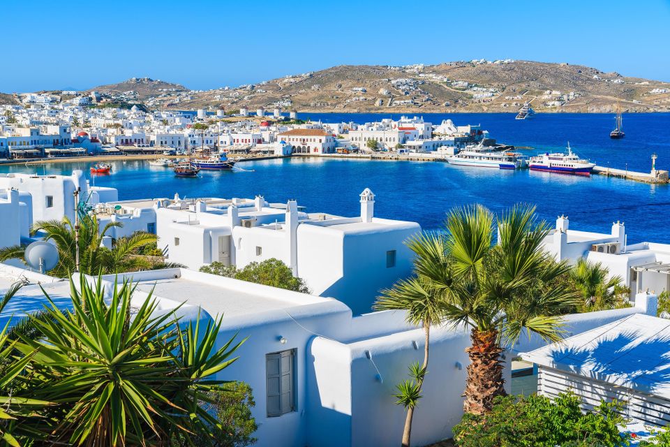 Mykonos Delight: a Perfect Day Trip From Your Cruise Ship - Cruise Port Pickup and Return