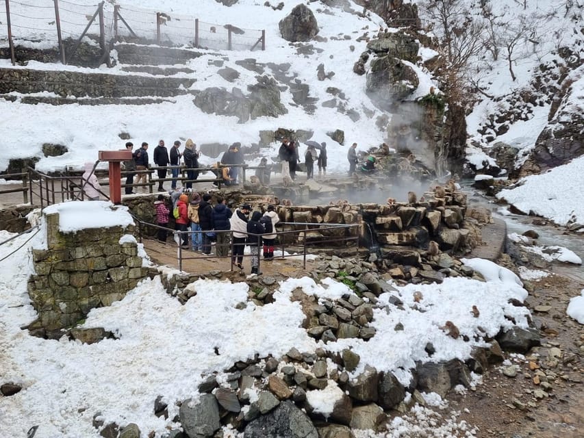 Nagano: Snow Monkey Park, Zenkoji One Day Private Tour - Cancellation and Refund Policy