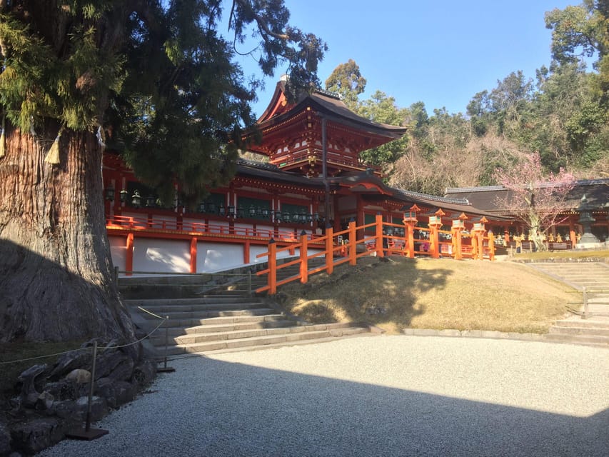 Nara: Half-Day Private Guided Tour - Flexible Itinerary