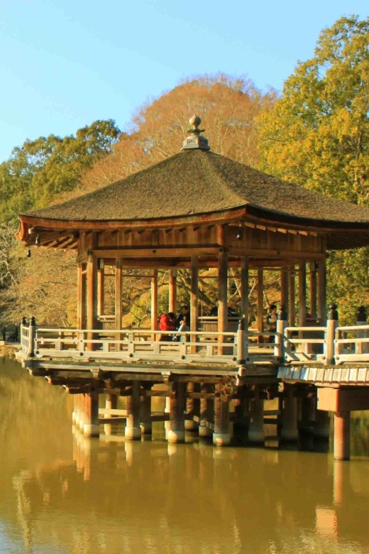 Nara: Heart of Nature Temple, Forest, & Waterfall Bike Tour - Visiting Historic Sites