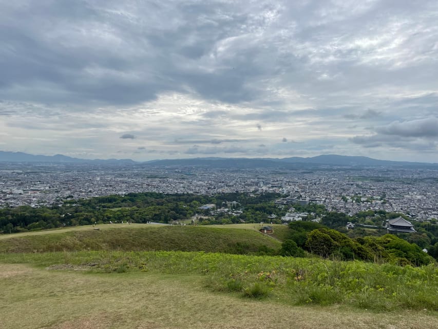 Nara Hiking Tour Review: Buddha, Deer, and Shrines - Meeting Point and Punctuality