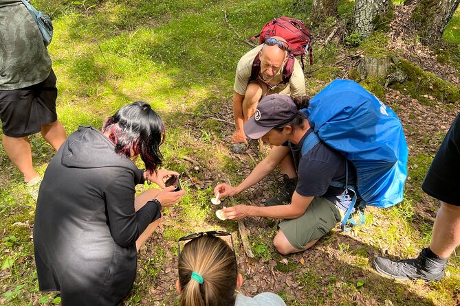 National Park Hike & Finnish Smoke Sauna Experience With Campfire Lunch - Whats Included in the Experience