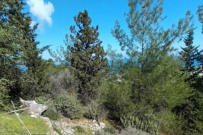 Nature Walking Tour in the Mediterranean Cyprus-8days - Traveler Reviews