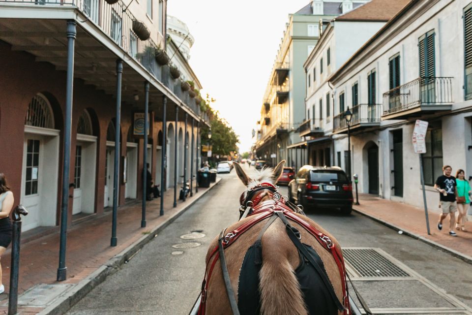 New Orleans: French Quarter Sightseeing Carriage Ride - Tour Options