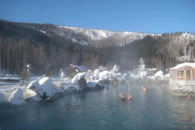 Northern Lights and Chena Hot Springs Tour From Fairbanks - Resort Amenities and Facilities