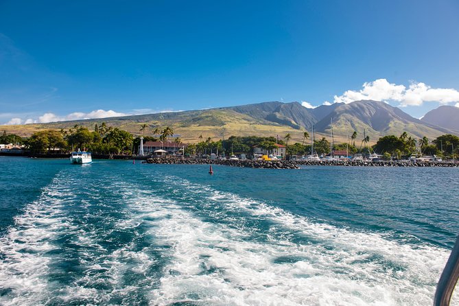 Oahus Favorite Whale Watch! (2 Hours; Ala Wai Harbor, Oahu) - Tour Logistics and Check-in