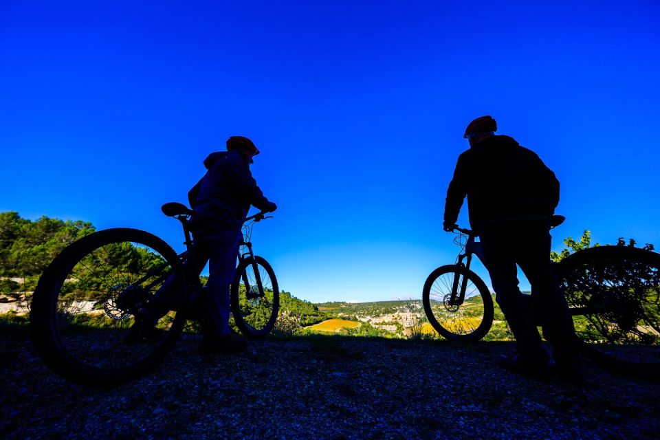 Oeno VTT Electrique Journée: Wine Tasting and Tour - Adapting to Participants Needs