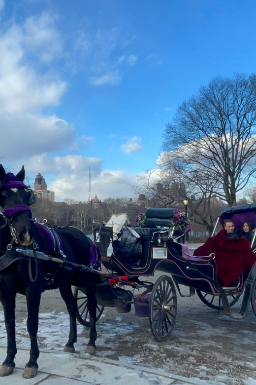 Official Exclusive VIP Horse Carriage Ride in Central Park - Weather and Alternative Options