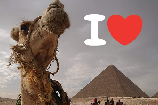 One Package Camel Ride With Giza Pyramids and Egyptian Museum Tour in Cairo - About the Guides