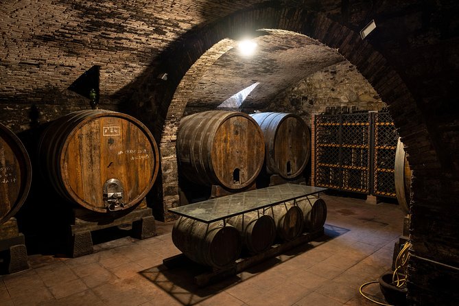 Organic Winery Tour and Tasting in Tuscany Chianti Hills - Meeting Point and Transportation Details