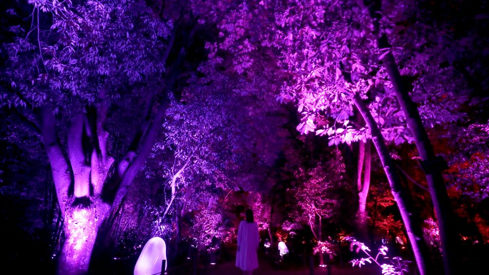 Osaka: Teamlab Botanical Garden Entry Ticket - Accessibility Considerations