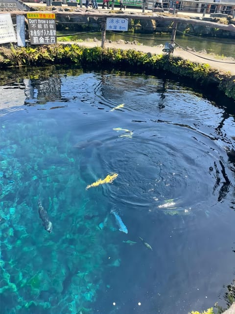 Oshino Hakkai, Ole Hot Spring in Mount Fuji One Day Tour - Crystal-Clear Spring Waters