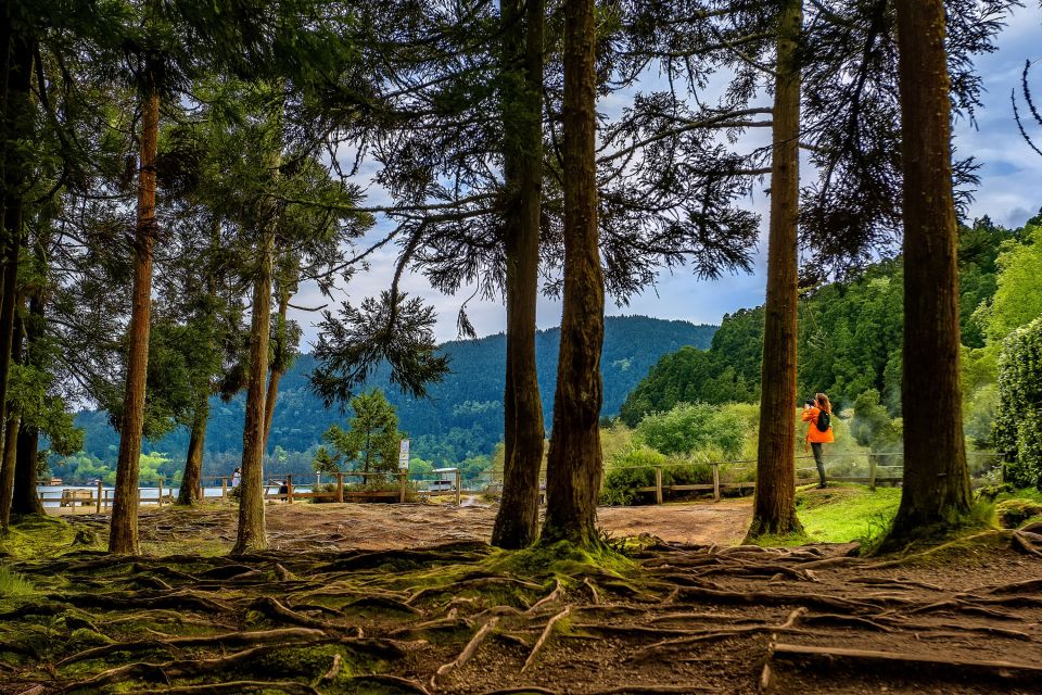 Ponta Delgada: Full-Day Van Tour to Furnas Valley - Terra Nostra Park Exploration