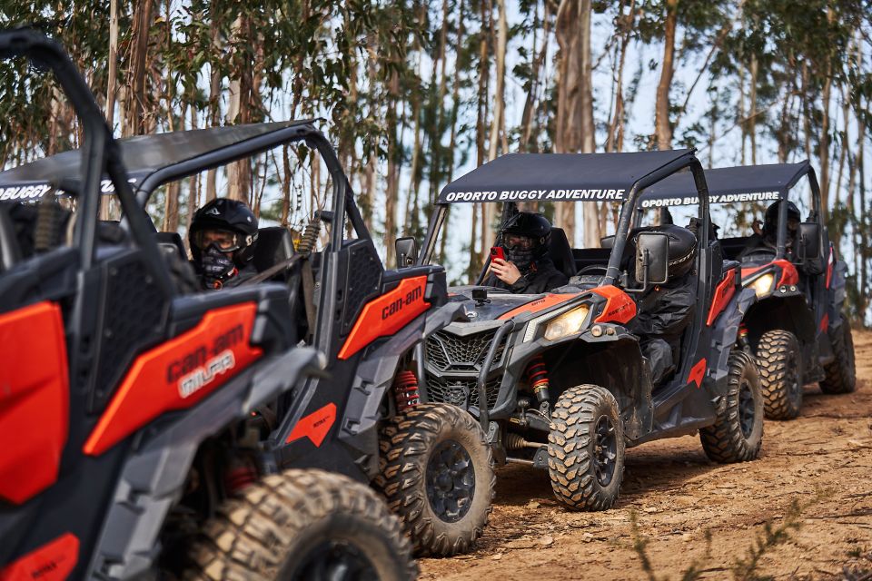 Porto: Extreme Tour by Oporto Buggy - Terrain and Scenery