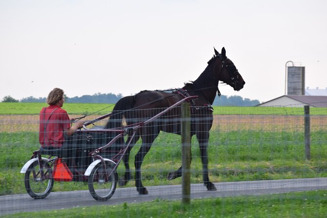 Premium Amish Country Tour Including Amish Farm and House - Guest Feedback