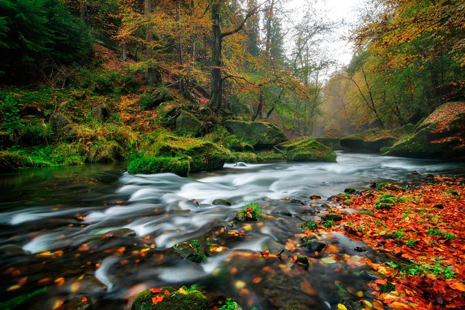 Private Custom Full Day Tour - Top Highlights of Bohemian & Saxon Switzerland - Booking and Cancellation Policy