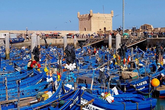 Private Day Tour to Essaouira From Marrakech - Private Tour and Group Pricing