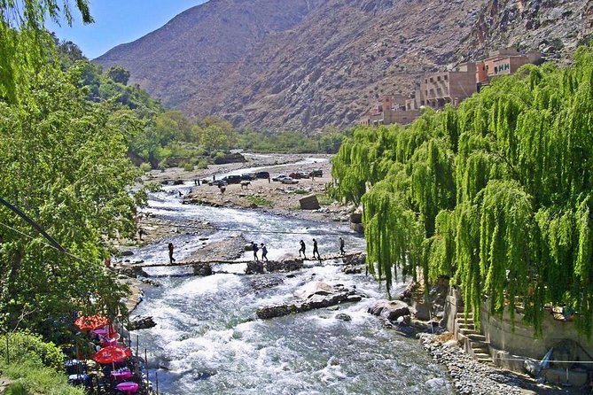 Private Day Trip From Marrakech to Ourika Valley - Infant Seats and Public Transportation Access