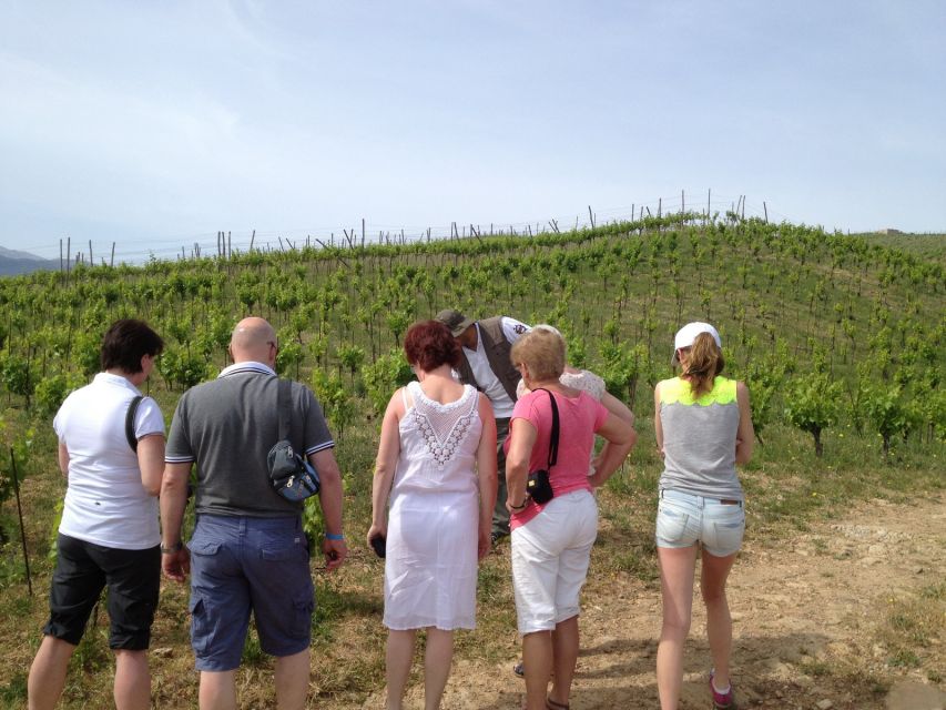 Private Exclusive Manousakis Winery and Vineyard Tour - Participant Restrictions