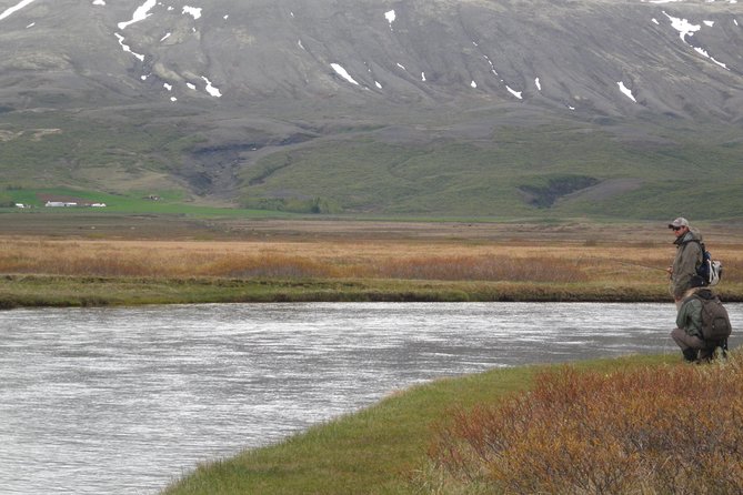 Private Fishing Tour From Reykjavik - Arctic Char and Brown Trout - Reviews and Participant Suitability