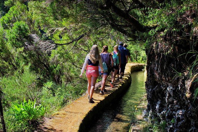 Private Small Group Full Day 4x4 Tour in Northwest Madeira - Knowledgeable Guide Accompaniment