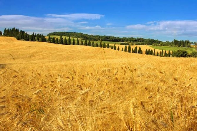 Private Tour: Tuscany Daytrip From Rome - Private Driver and Vehicle