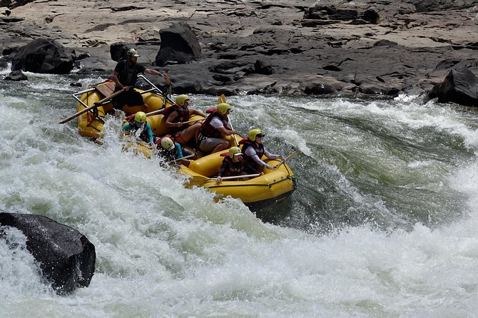 Raft the Zambezi - Wildlife Spotting Opportunities