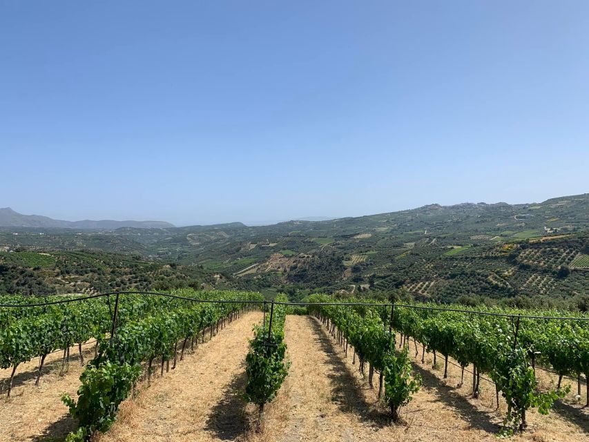 Rethymno: Private Wine Tour of Dafnes Valey With Lunch - Inclusions and Amenities