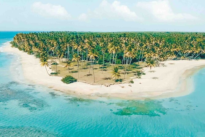 Round Mountain and Esmeralda Beach Tour From Punta Cana - Typical Dominican Lunch