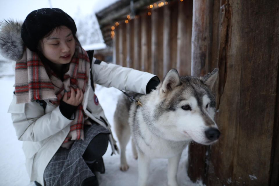 Rovaniemi: Husky and Reindeer Farm Visit With Sleigh Rides - Additional Information