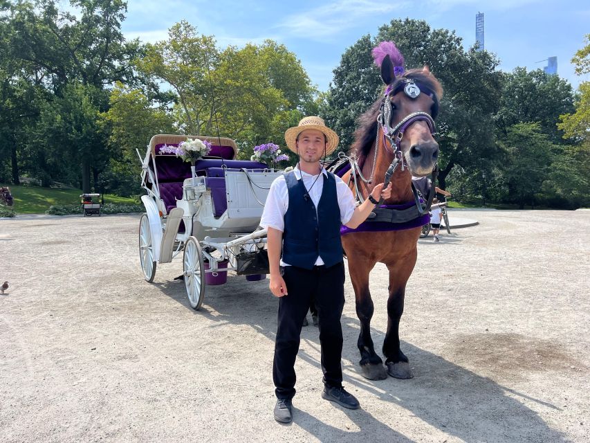 Royal Carriage Ride in Central Park NYC - Accessibility and Language