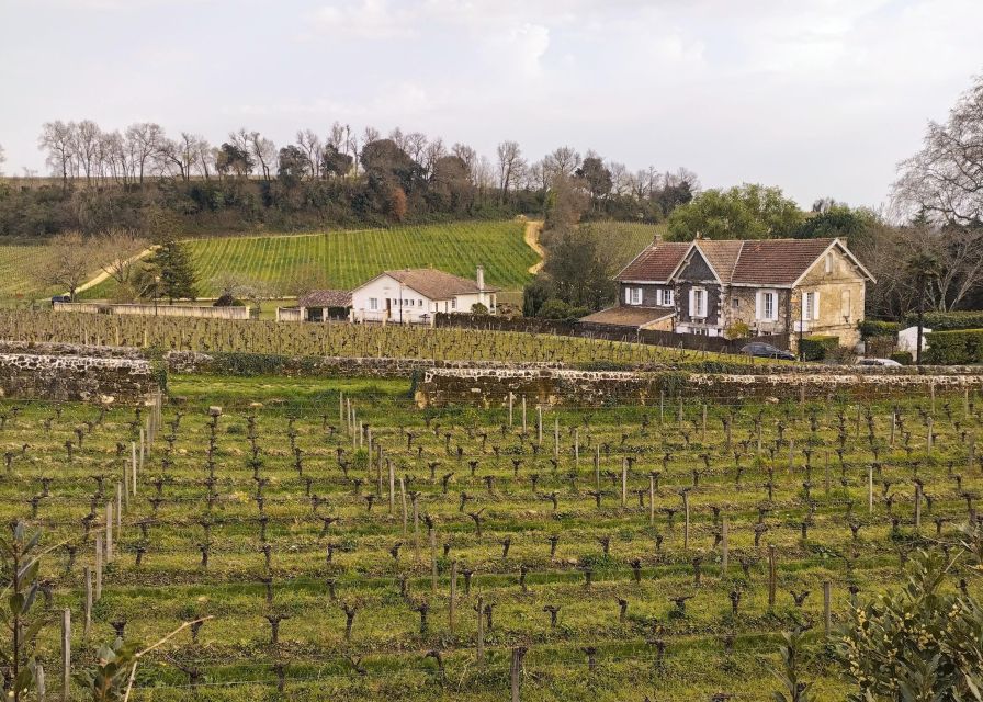 Saint-Émilion by Gravel Bike & Wine Tasting - Surprise Gift for Participants