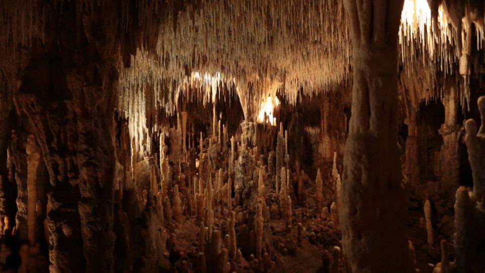 Sarlat-la-Canéda: Private Tour of the Cave and Castle - Accessibility and Restrictions