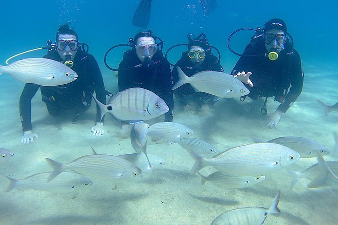 Scuba Diving (Basic Diver - 2 Dives) - Booking and Reservation Details