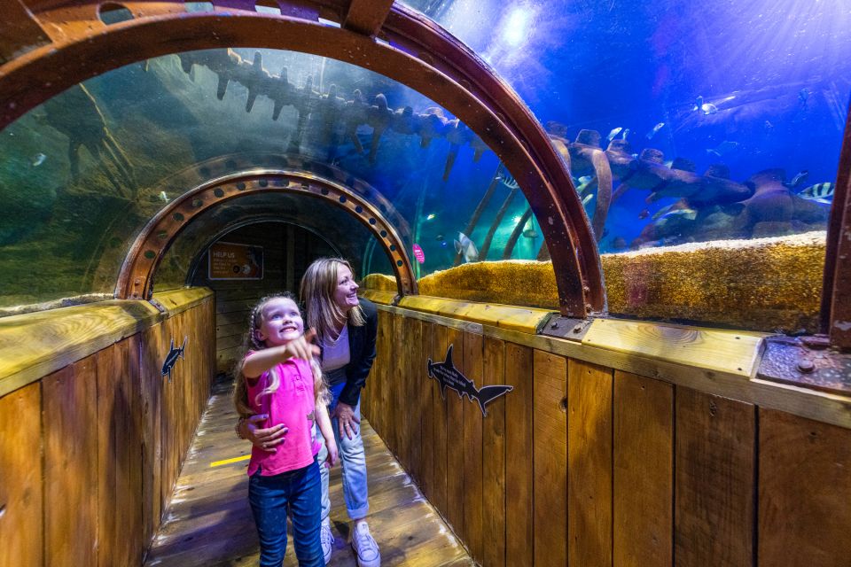 Sea Life Hunstanton - Frequently Asked Questions