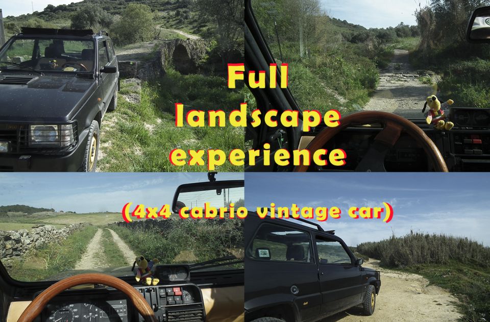 Sintra-Cascais Natural Park, West Lisbons UNESCO Grand Tour - Practicalities of the Tour