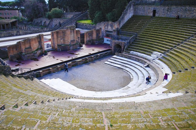 Skip-the-Line Exclusive Private Ancient Pompeii & Vesuvius Volcano Full Day Tour - Logistical Details