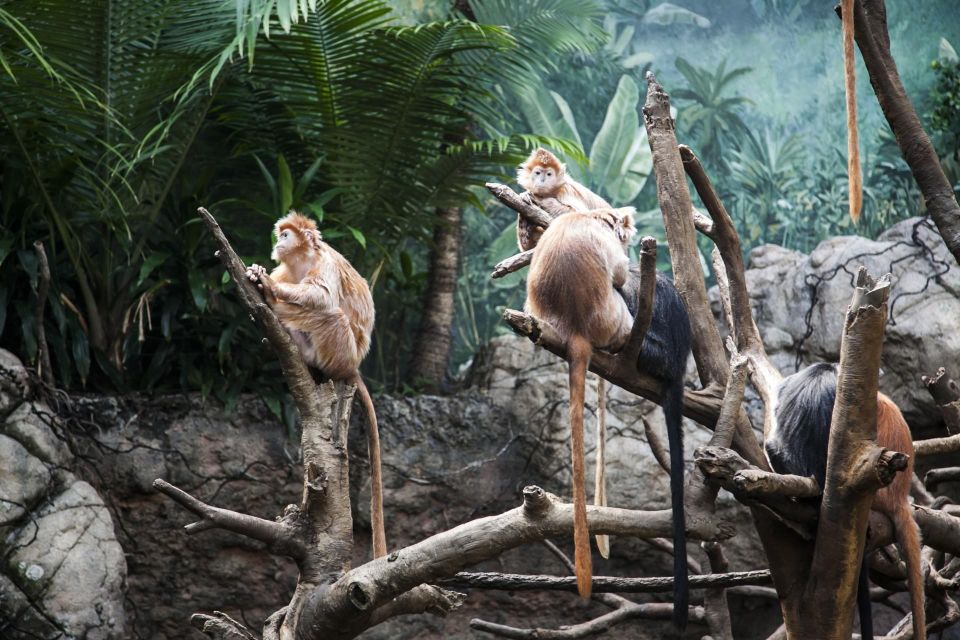 Skip-The-Line Tickets to Bronx Zoo With Private Transfers - Duration and Access