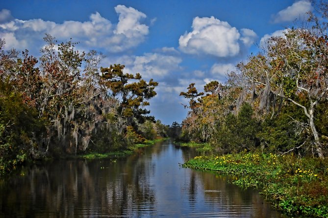 Small-Group Bayou Airboat Ride With Transport From New Orleans - Knowledgeable Tour Guides