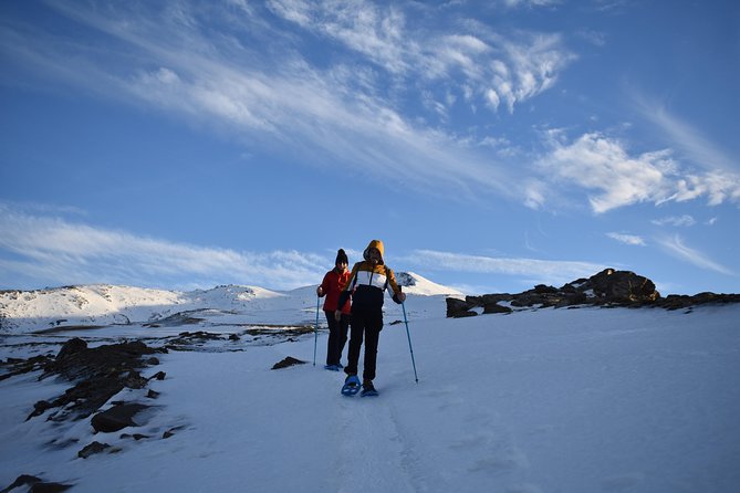 Snowshoe Hiking in the Sierra Nevada (Granada) - Photography and Refreshments